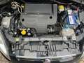 Fiat Punto Evo 1.3 Mjt 75 CV 5P. Neopatentati Nero - thumbnail 13