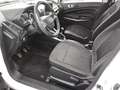 Ford EcoSport 1.0 EB Cool&Connect T-Leder LED Shz Weiß - thumbnail 8