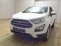 Ford EcoSport 1.0 EB Cool&Connect T-Leder LED Shz Weiß - thumbnail 2
