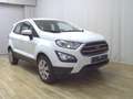 Ford EcoSport 1.0 EB Cool&Connect T-Leder LED Shz Weiß - thumbnail 3