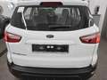 Ford EcoSport 1.0 EB Cool&Connect T-Leder LED Shz Weiß - thumbnail 10