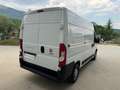 Fiat Ducato FIAT DUCATO 33 MH2 2.3 MULTIJET 120CV E6D Blanc - thumbnail 6