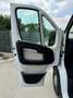 Fiat Ducato FIAT DUCATO 33 MH2 2.3 MULTIJET 120CV E6D Blanc - thumbnail 12