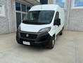 Fiat Ducato FIAT DUCATO 33 MH2 2.3 MULTIJET 120CV E6D Blanc - thumbnail 1