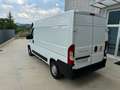 Fiat Ducato FIAT DUCATO 33 MH2 2.3 MULTIJET 120CV E6D Blanc - thumbnail 10