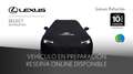 Lexus NX 300 300h Executive 4WD + Navibox Gris - thumbnail 1
