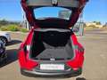 Alfa Romeo Tonale Tonale 1.6 Super 130cv tct6 Rosso - thumbnail 14