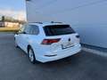 Volkswagen Golf Variant 2,0 TDI Life **AHK**ACC**RFK**GARANTIE** Weiß - thumbnail 6