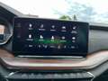 Skoda Octavia Combi Scout 2,0 TDI 4x4 DSG | NP: €55.700 Grau - thumbnail 19