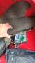 Rover Sonstige Mini Classic Mpi Rot - thumbnail 27