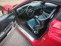 Ferrari 360 F360 Spider F1 Rojo - thumbnail 4