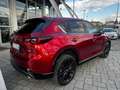 Mazda CX-5 CX-5 2.2 Homura + Com. Pack 2wd 150cv auto IVA ESP Rosso - thumbnail 5