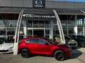 Mazda CX-5 CX-5 2.2 Homura + Com. Pack 2wd 150cv auto IVA ESP Rosso - thumbnail 1