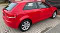 Audi A3 8P 1.6 FSI*2.Hand*Scheckheft*Sitzhzg*Klima*Finanz* Rouge - thumbnail 4