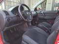 Volkswagen Polo 3295556033*TAGLIANDI VW!!*5p*1.4*Sportline*80cv Rosso - thumbnail 13