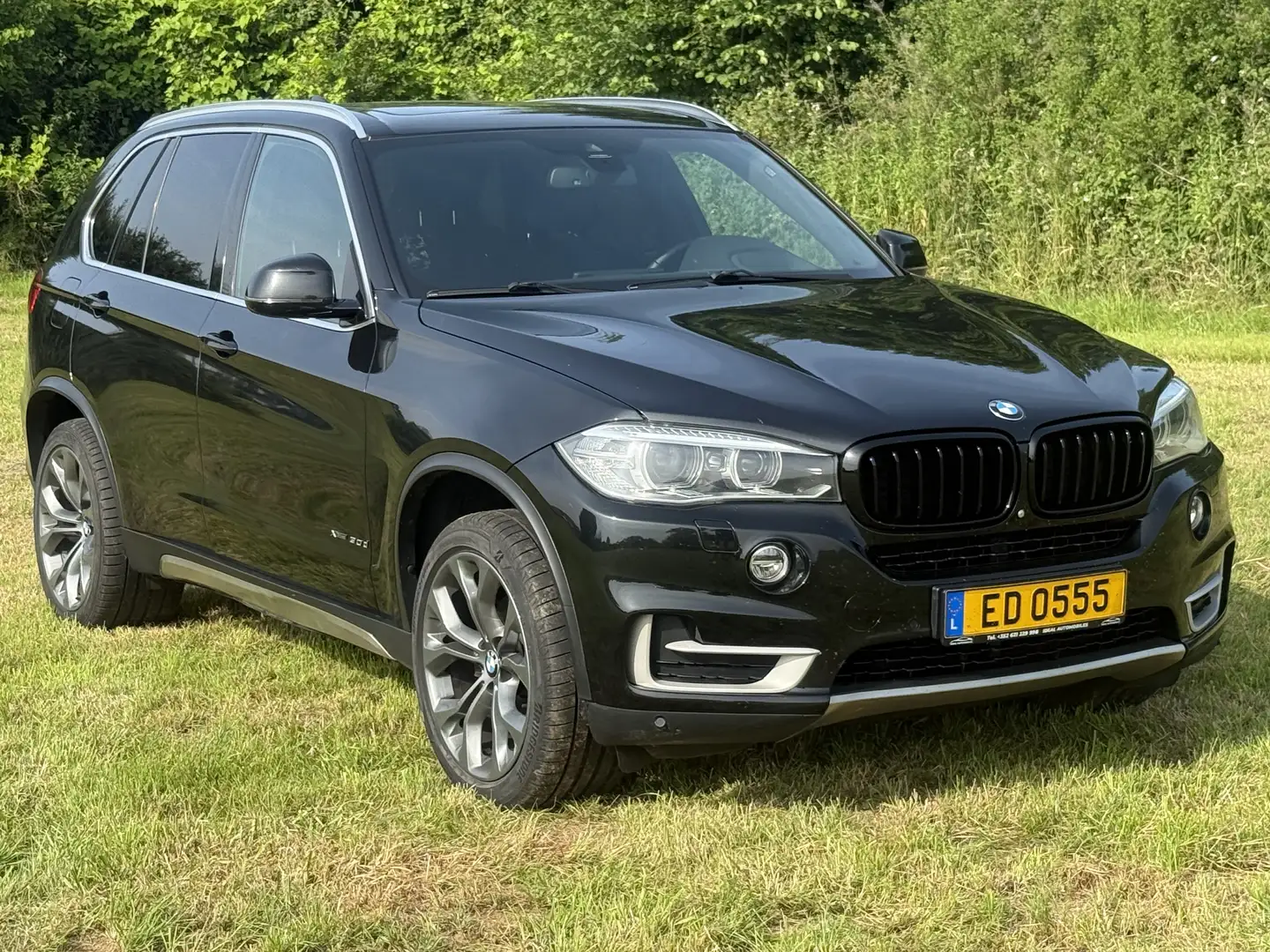 BMW X5 xDrive30d 258 ch Lounge Plus A - 1