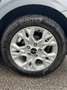 Kia Ceed SW / cee'd SW 1,5 TGDI Silber 48V DCT Silber - thumbnail 5