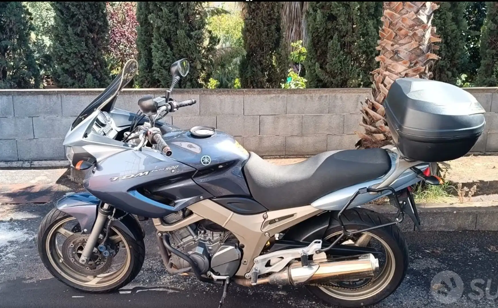 Yamaha TDM 900 Blu/Azzurro - 1