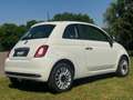 Fiat 500 - 2016 - Airco - Facelift - 60.000 KM - OrigNL - N Wit - thumbnail 5