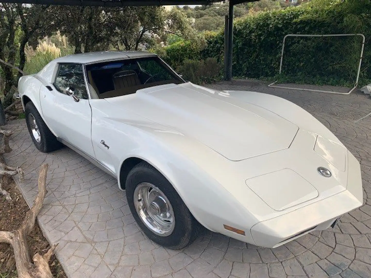 Corvette C3 Blanco - 1