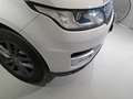 Land Rover Range Rover Sport II 2018 Die. 3.0 sdV6 HSE Dynamic 249cv auto Bianco - thumbnail 37