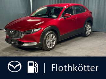 150PS SELECTION*ACTIVE*360°*CARPLAY