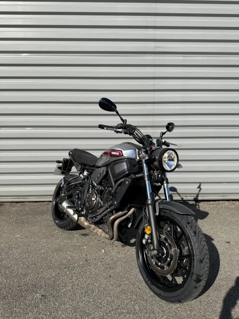 Yamaha XSR 700 - 2