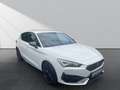 CUPRA Leon 2.0 TSI VZ*Navi*LED*CarPlay*XL*Virtual* Weiß - thumbnail 3