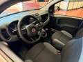 Fiat Panda Panda III 2016 1.2 Lounge s Argento - thumbnail 5