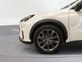 Lexus LBX 1.5 136cv HEV Relax - thumbnail 16