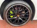 Porsche Panamera Panamera 4.0 Turbo S e-hybrid Carbon vis. notturno Wit - thumbnail 17