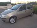 Fiat Punto Punto II  5p 1.2 Active Gpl Oro - thumbnail 6