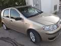 Fiat Punto Punto II  5p 1.2 Active Gpl Oro - thumbnail 1
