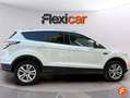 Ford Kuga 1.5 EcoBoost Trend FWD 120 Blanco - thumbnail 7