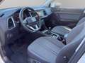 SEAT Ateca 2.0 TDI 150cv Business Blanc - thumbnail 10