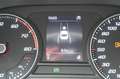 SEAT Leon SP 1,0 TSI Austria Edition Grau - thumbnail 17