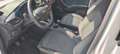 Ford Puma 1.0 ecoboost h ST-Line X s&s 125cv Bianco - thumbnail 9