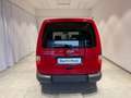 Volkswagen Caddy Startline Rojo - thumbnail 3