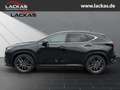 Lexus NX 350h 243 PS Luxury E-Four - Allradantrieb plus Panorama Schwarz - thumbnail 2
