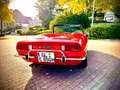 Fiat 850 Sport Spider US- Modell Rouge - thumbnail 7