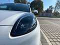 Ford Puma 1.0 125CV ST-line Design Blanc - thumbnail 3