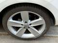 Volkswagen Polo V 1.6 TDI 90FAP SPORTLINE 3P Biały - thumbnail 22