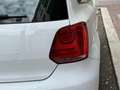 Volkswagen Polo V 1.6 TDI 90FAP SPORTLINE 3P Biały - thumbnail 18