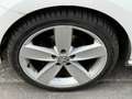 Volkswagen Polo V 1.6 TDI 90FAP SPORTLINE 3P Biały - thumbnail 21