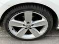Volkswagen Polo V 1.6 TDI 90FAP SPORTLINE 3P Blanco - thumbnail 21