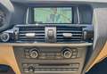 BMW X4 xDrive 20d xLINE RFK NAVI SHZ LED Blau - thumbnail 15