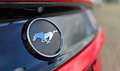 Ford Mustang Fastback 2.3 Ecoboost Stage 1 340pk Mooi! Rood - thumbnail 12