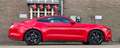 Ford Mustang Fastback 2.3 Ecoboost Stage 1 340pk Mooi! Czerwony - thumbnail 4