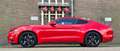 Ford Mustang Fastback 2.3 Ecoboost Stage 1 340pk Mooi! Rood - thumbnail 3