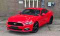 Ford Mustang Fastback 2.3 Ecoboost Stage 1 340pk Mooi! Piros - thumbnail 15